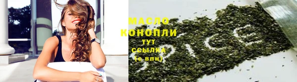 индика Вязники