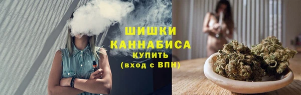 стафф Вяземский