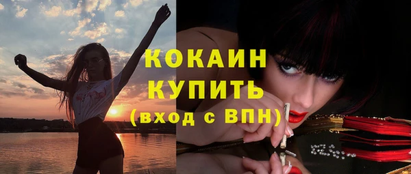 стафф Вяземский
