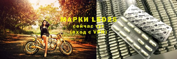 индика Вязники