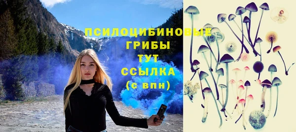индика Вязники