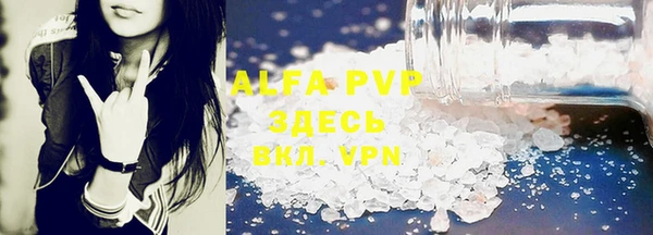 индика Вязники
