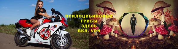 стафф Вяземский