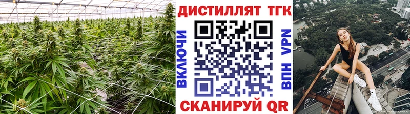 где купить наркоту  Райчихинск  ТГК жижа 