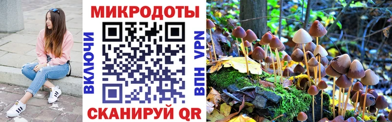 что такое наркотик  Райчихинск  Псилоцибиновые грибы мухоморы 